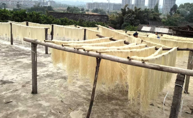 1745393023335133.jpg 传统粉条晾晒1.jpg