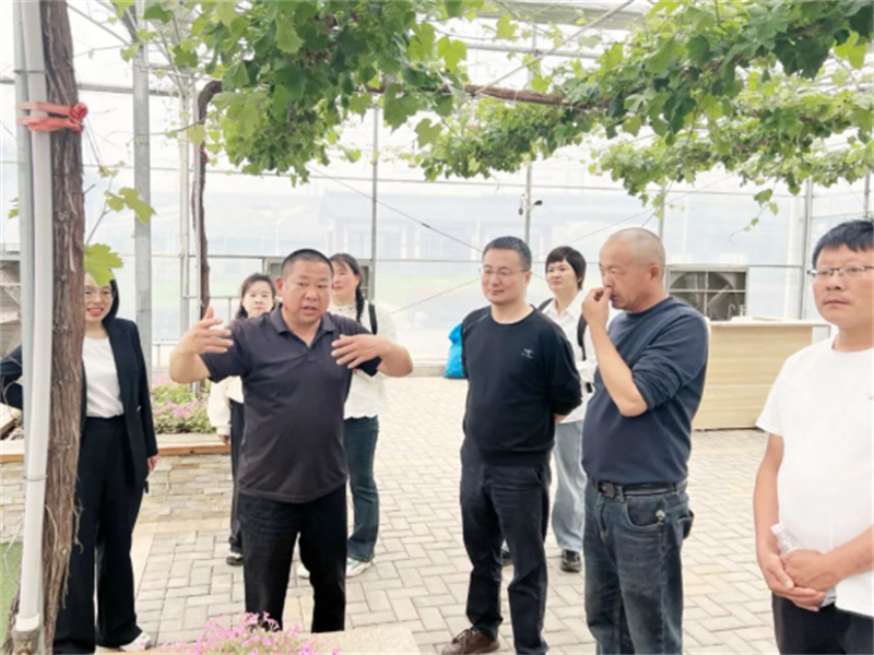 1745813809919373.jpg 江阴市葡萄产业链联合党委赴多地“取经” 助推葡萄产业高质量发展1360.jpg