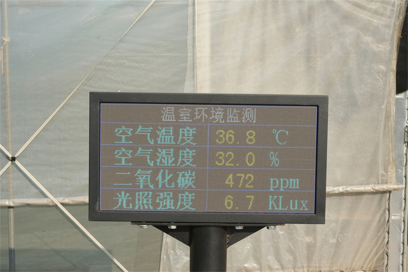 1745724160941656.jpg 4.JPG