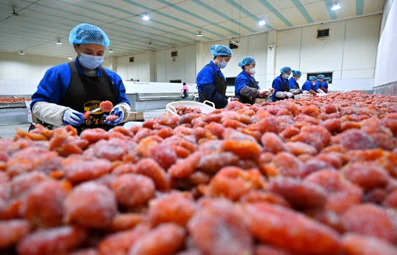 1748230612325456.jpg 在位于仁寿县的仁寿江陵食品有限公司生产车间内,工人正忙着对收获的柑橘进行加工,赶制出口订单.jpg