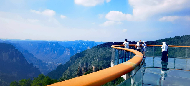 1753062607381485.png 图片 5.png