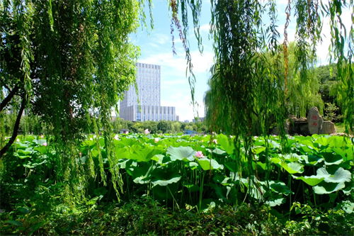 1753338650182064.png 图片2.png