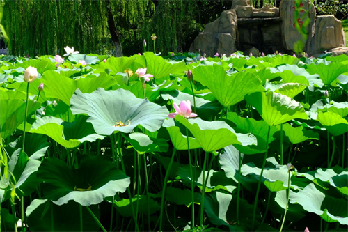 1753338661388411.png 图片3.png