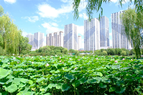 1753338640874290.png 图片1.png