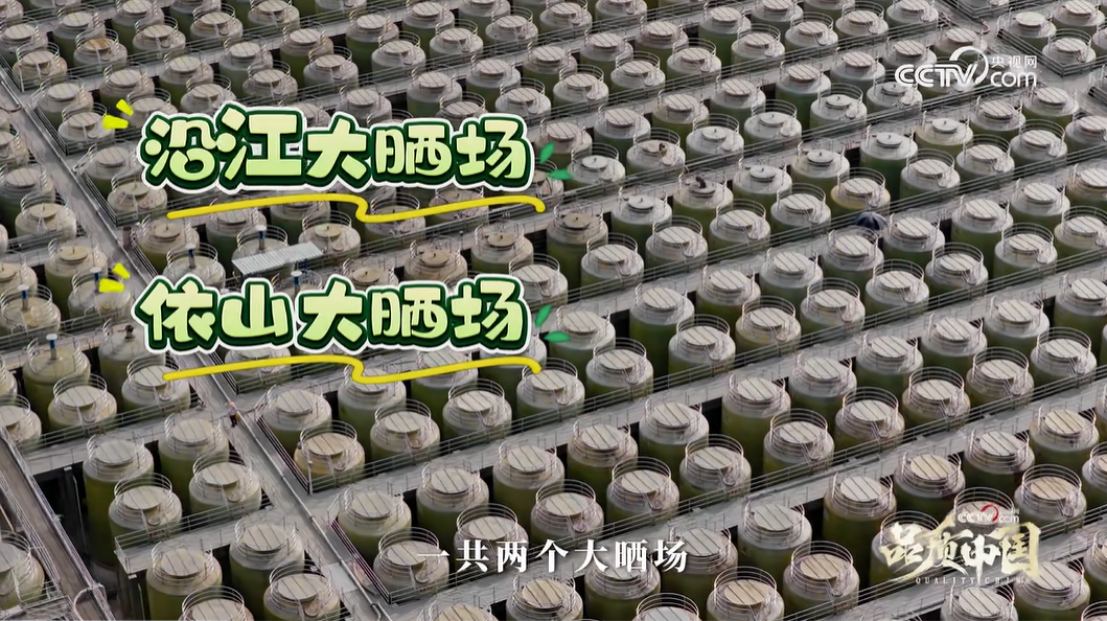 1754967772557200.png image.png