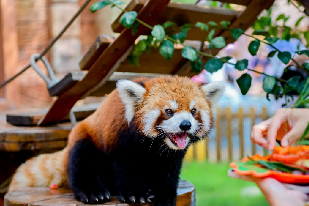 1755654821214224.png 图片 4.png
