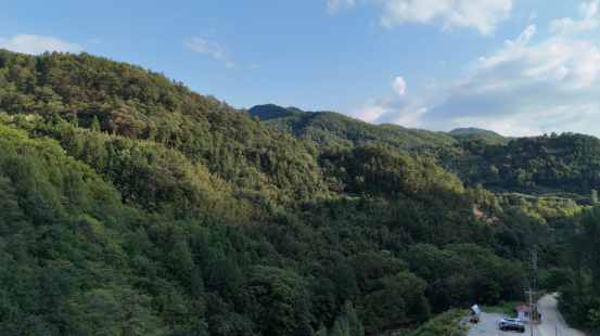 1756088278268235.png 图片 3.png