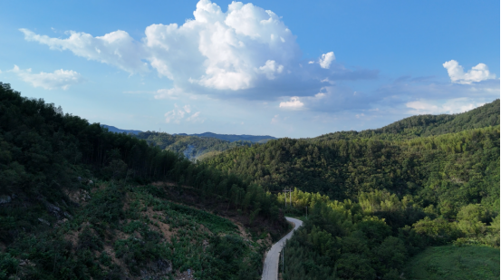 1756088263850112.png 图片 1.png