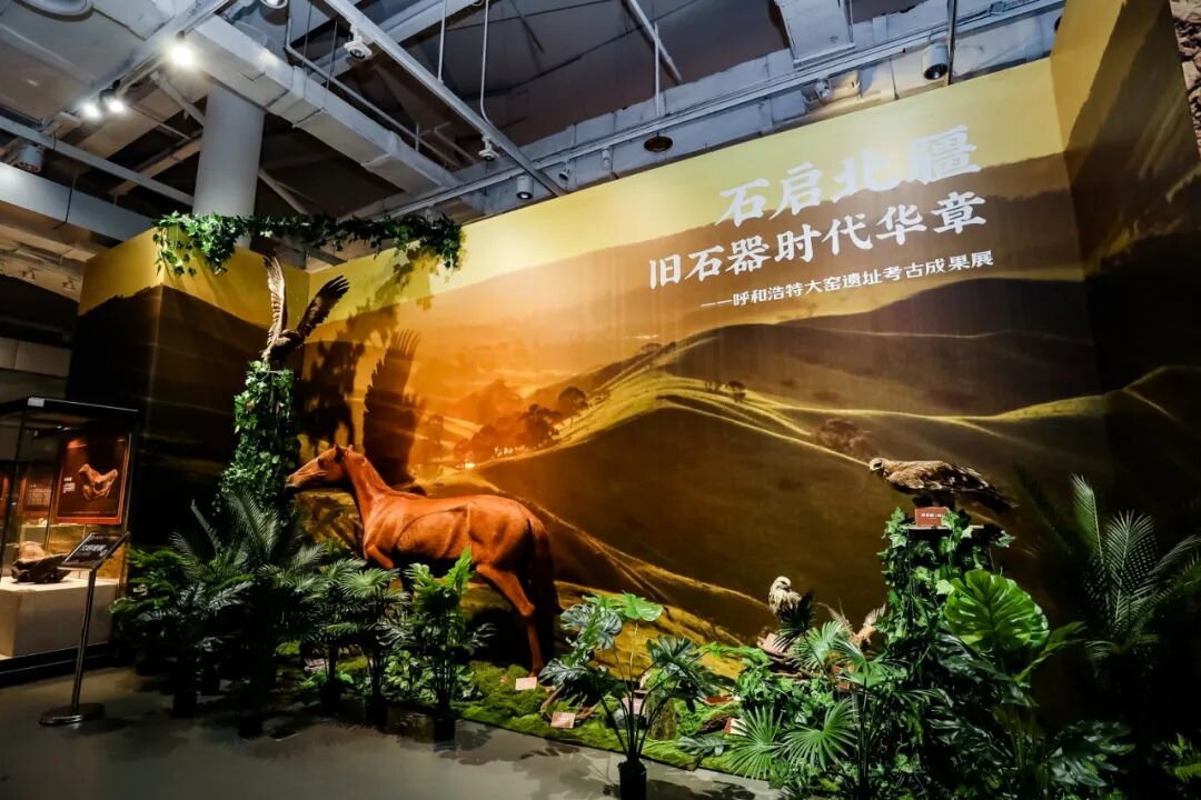 图片 7.jpg
