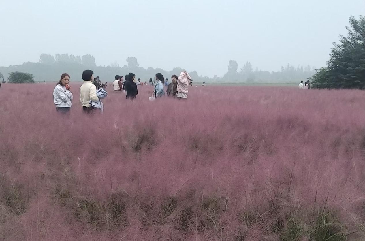 1759975059447827.jpg 图片 5.jpg