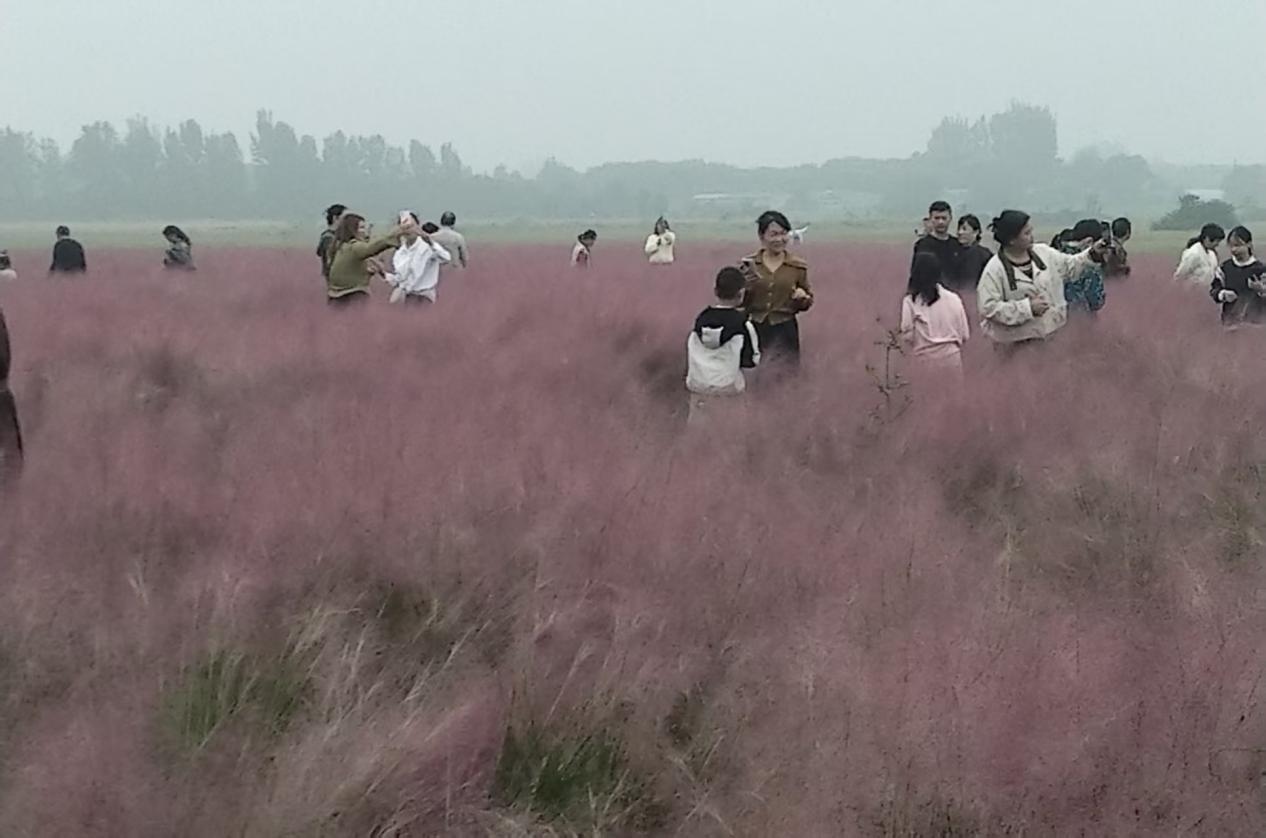 1759975054592508.jpg 图片 4.jpg
