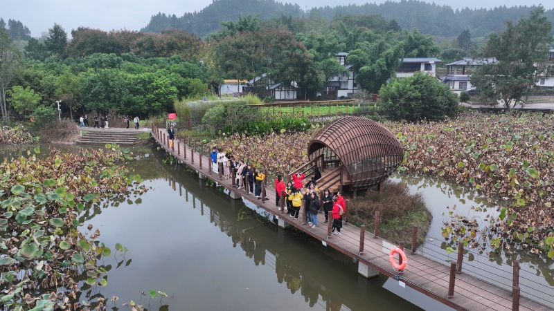 1761902969351303.jpg 图片3.jpg