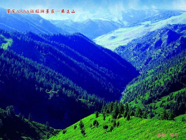 1762388926772047.jpg 图片2.jpg