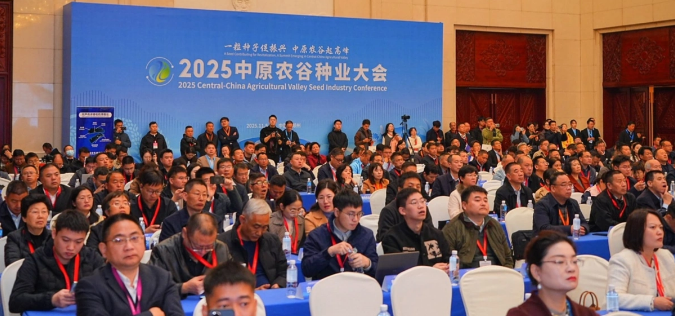 1762827760704316.png 图片3(2).png