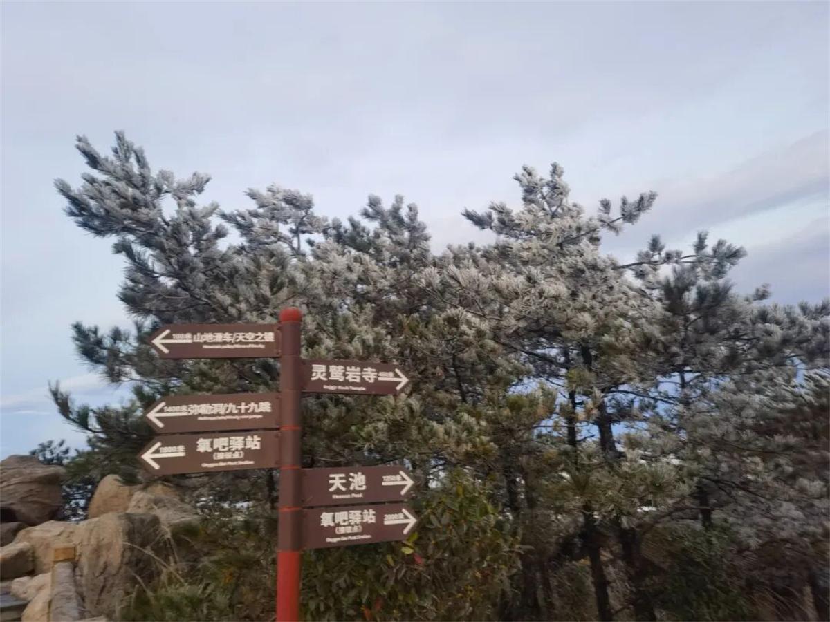 image4.jpeg