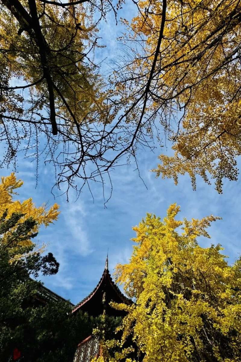1763614476156370.jpg 图片1.jpg