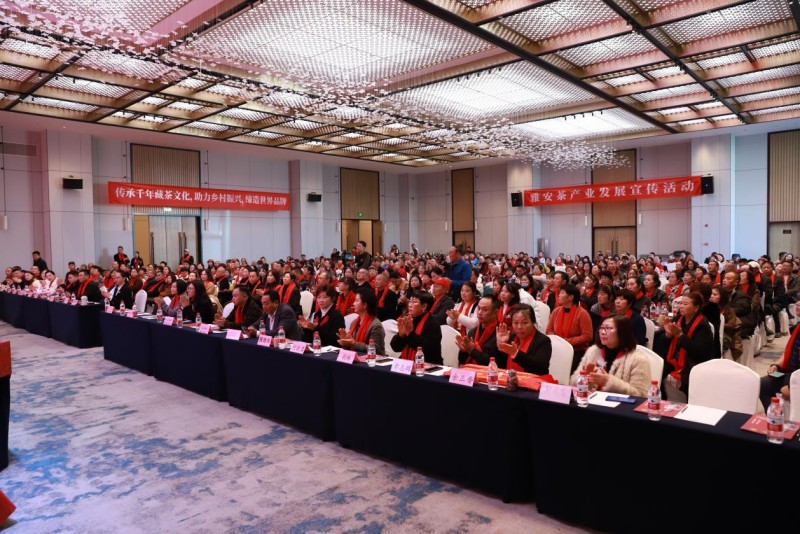 1763615033853902.jpg 图片3.jpg