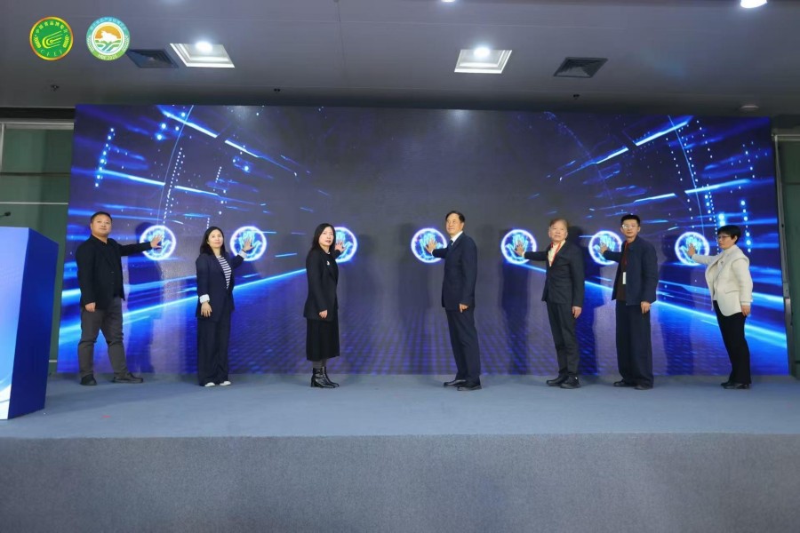 1765937330268673.jpg 9306345_f867b682-7f8a-4bd7-8d4b-a2c6a77c71d0.jpg