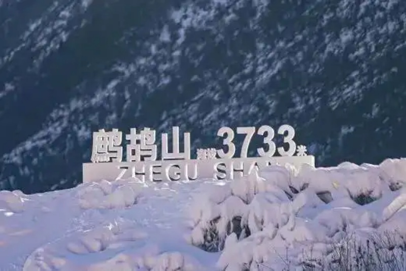 1766374990343332.jpg 2.jpg