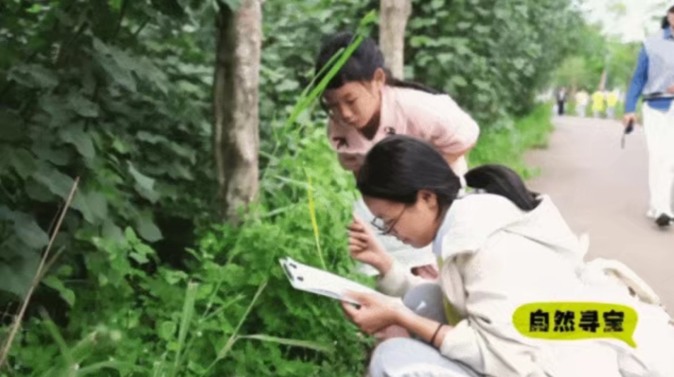1766708686446455.jpg WPS图片(2).jpg