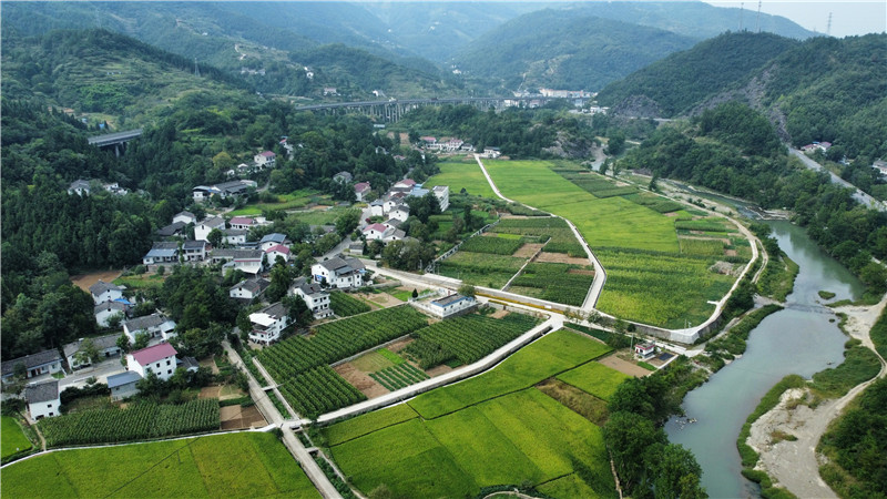 1769587761237281.jpg 图片2.jpg