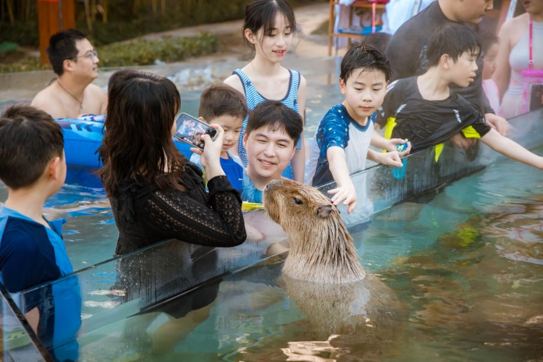 图片3(13).jpg