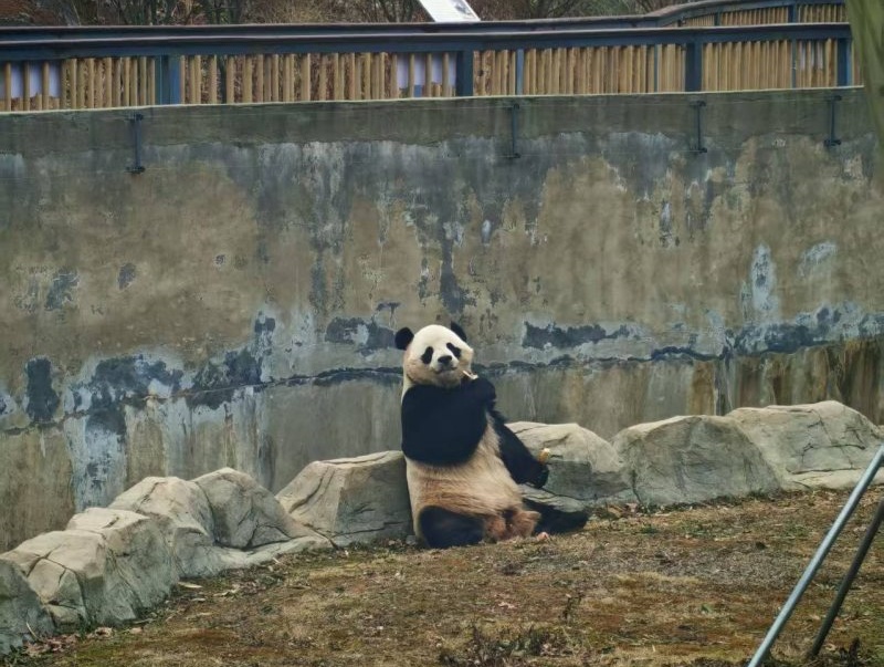 1770690335796404.jpg 图片1.jpg