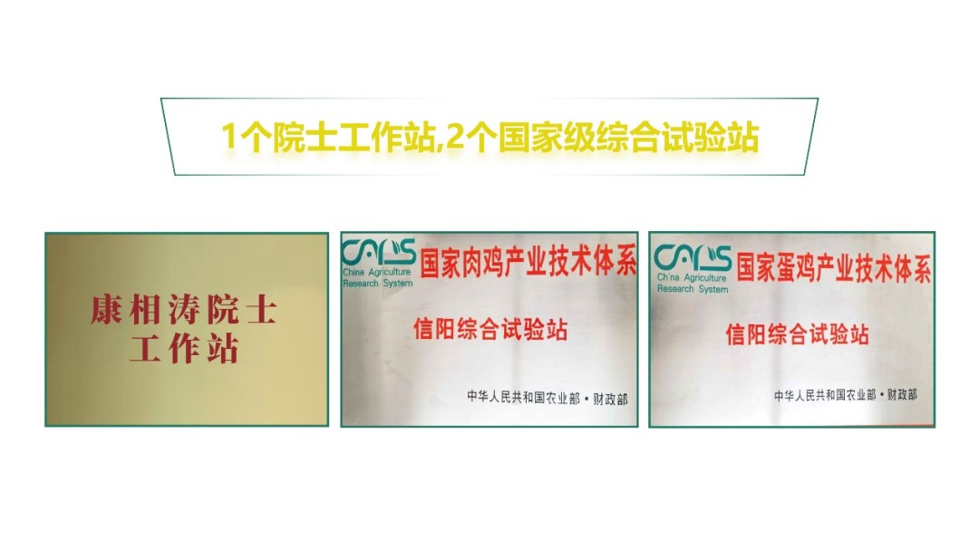 图片16.jpg