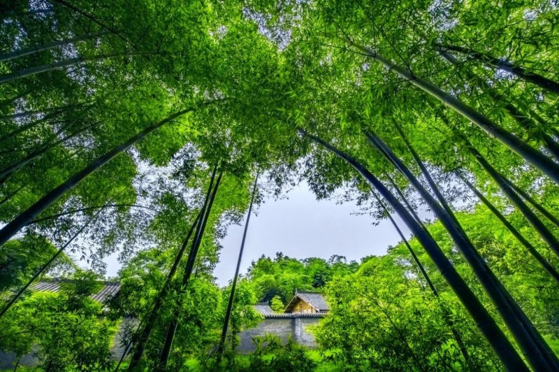 1774061930170167.jpg 图片8.jpg