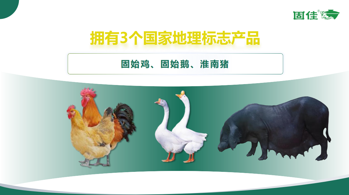 1774346071758425.png 图片9.png