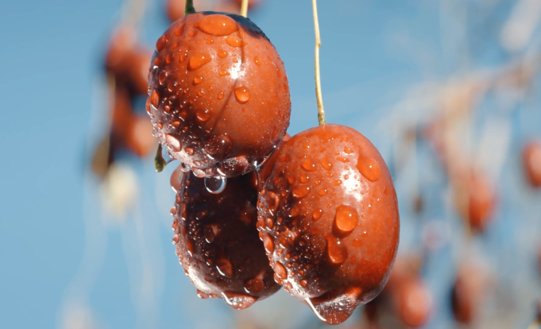 1774577420270158.png 图片8.png