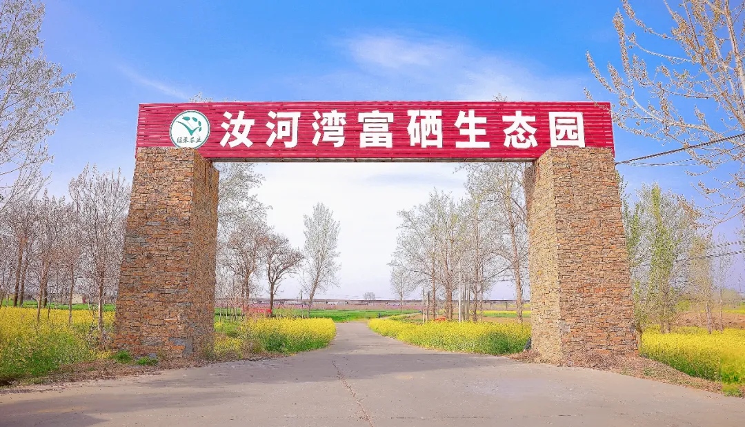 图片29.jpg