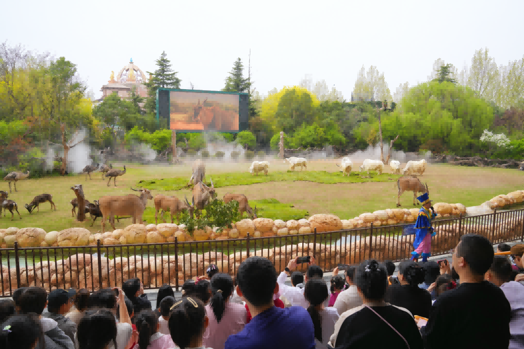 1775180165148478.png 图片19.png