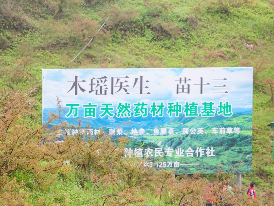 1775560796997393.jpg 图片14.jpg