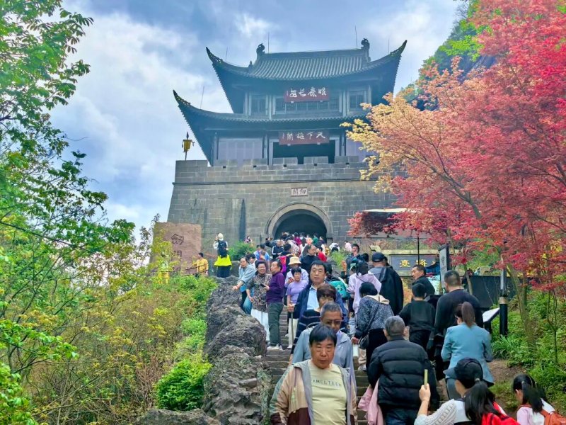1775631492984807.jpg 图片1.jpg