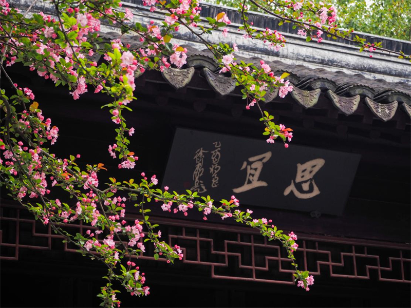 1775635386526450.jpg 图片1.jpg