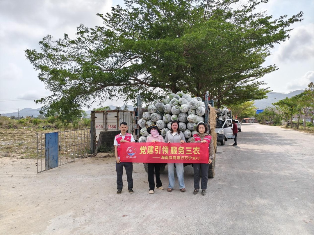 1776386219320446.jpg WPS图片(1).jpg