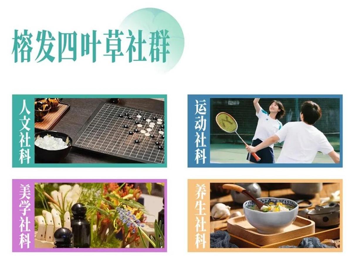1776937817579730.jpeg image8_看图王.jpeg