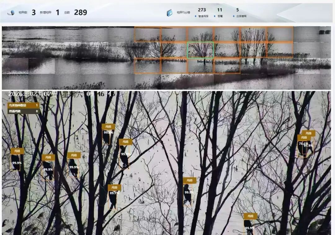 1778136096895737.png 图片1.png