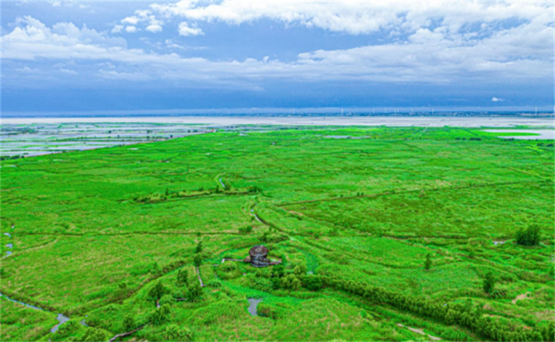 1778208121521172.jpg 筑牢湿地绿色根基 绘就和谐共生画卷——江苏泗洪洪泽湖湿地国家级自然保护区“十四五”工作成效281.jpg