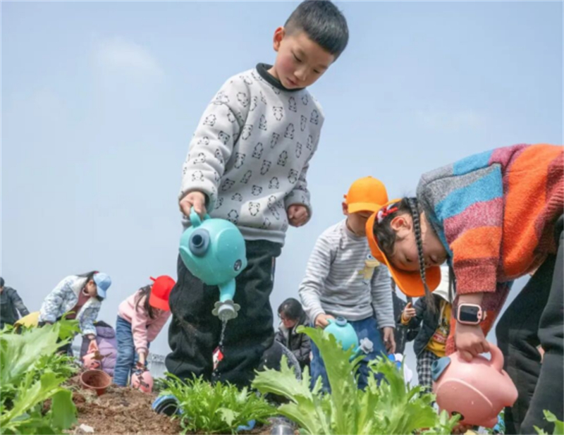 1778465540742102.jpg 昆山乐佳农发农民田间学校入选2025年度江苏省资源库705.jpg