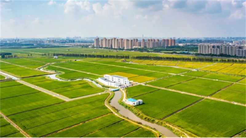1778465521891069.jpg 昆山乐佳农发农民田间学校入选2025年度江苏省资源库361.jpg