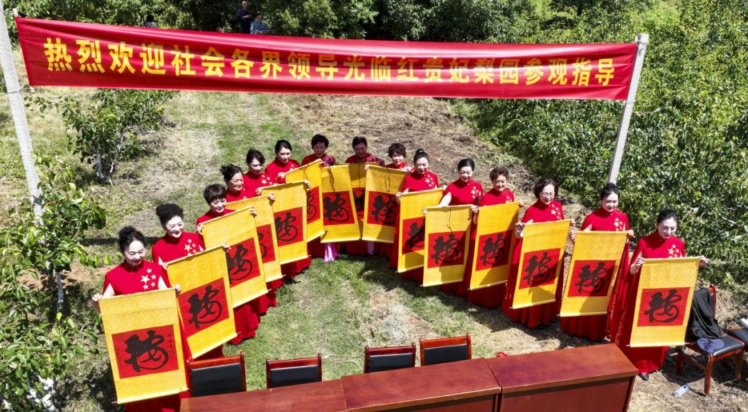 1778493716568650.jpg 图片24.jpg