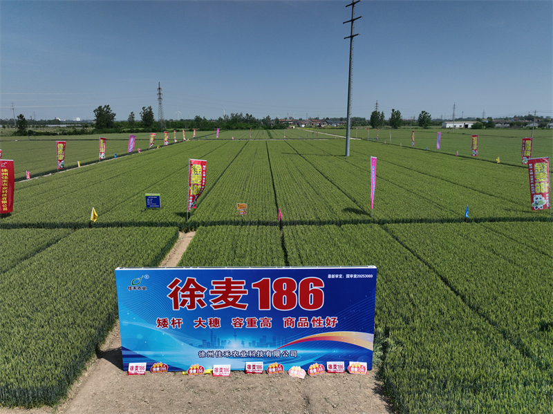 1778641637224831.jpg 图片4.jpg