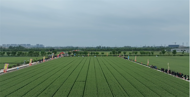 1778641613107134.jpg 图片1.jpg