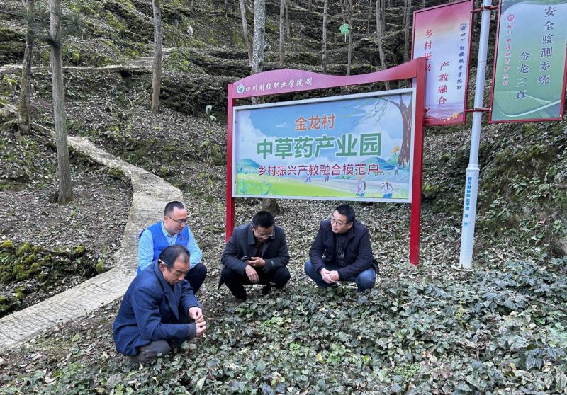 1779172734466069.jpg 图片1.jpg