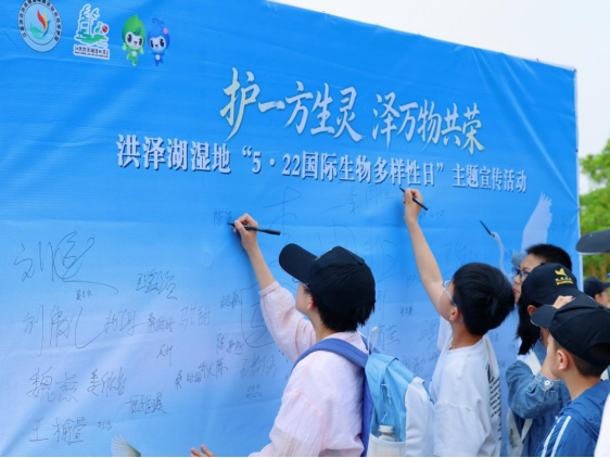 洪泽湖湿地开展生物多样性日主题宣传活动287.jpg