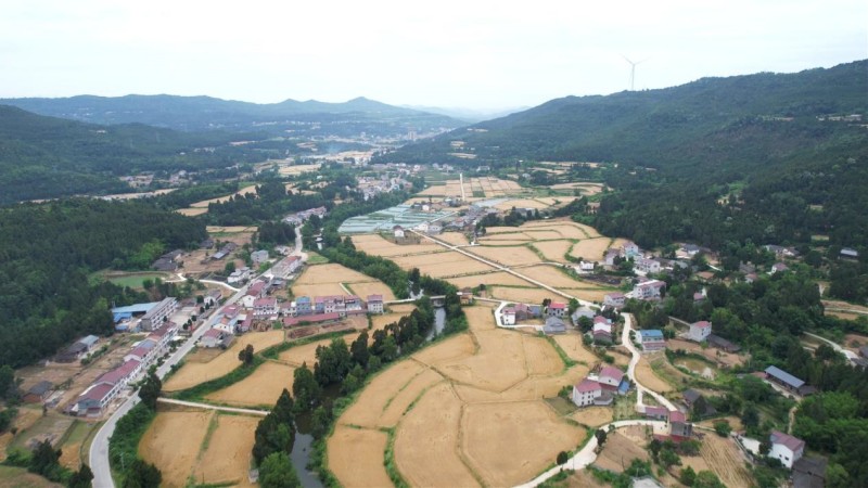 1780036126867510.jpg 图片2.jpg