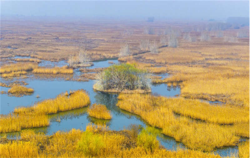 1780283334242263.jpg 图片1.jpg