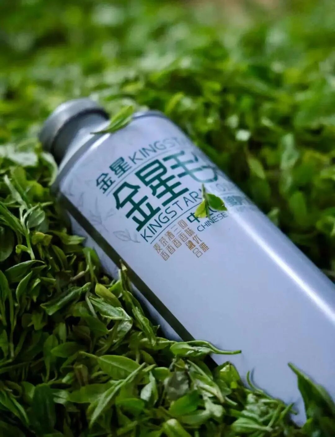 1780298099820502.jpg 图片7.jpg